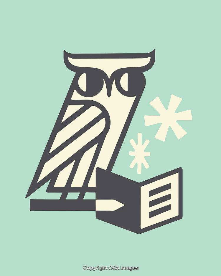 Illustration of an Owl with a Book Symbol in a Minimalist Design