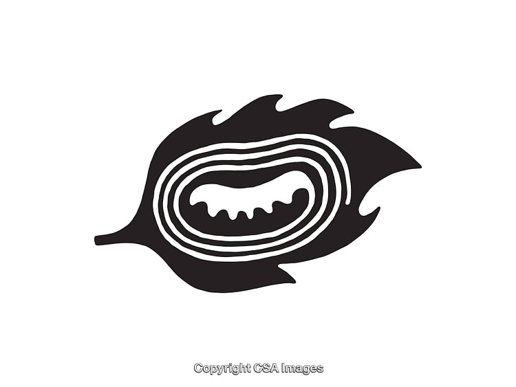 Stylized Black and White Icon Featuring an Abstract Organic Design