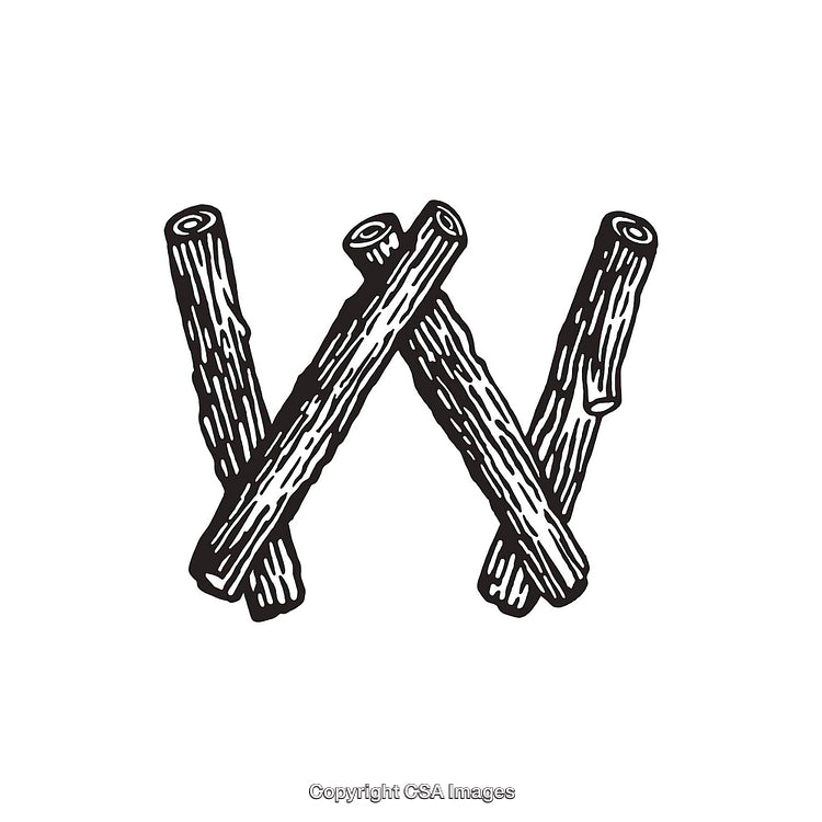 Rustic Letter W Composed of Wooden Sticks With Artistic Design