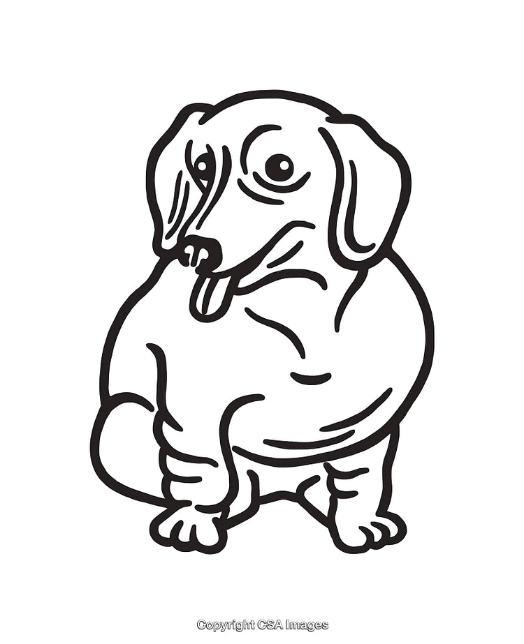 Charming Black and White Dachshund Line Art Illustration With Cute Details