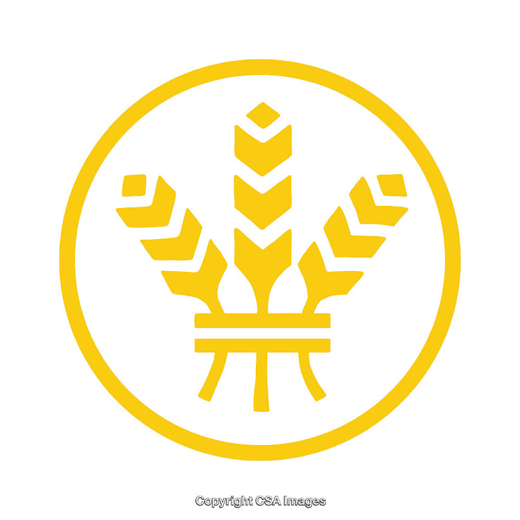 Golden Wheat Symbol Isolated in a Circular Frame on White Background