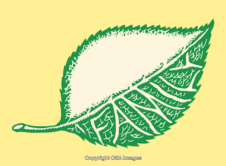 Green Leaf Artwork with Family Concept on Yellow Background