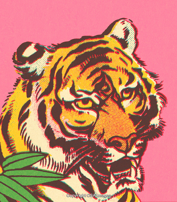 Colorful Vintage Tiger Illustration with Pink Background and Plant Accents