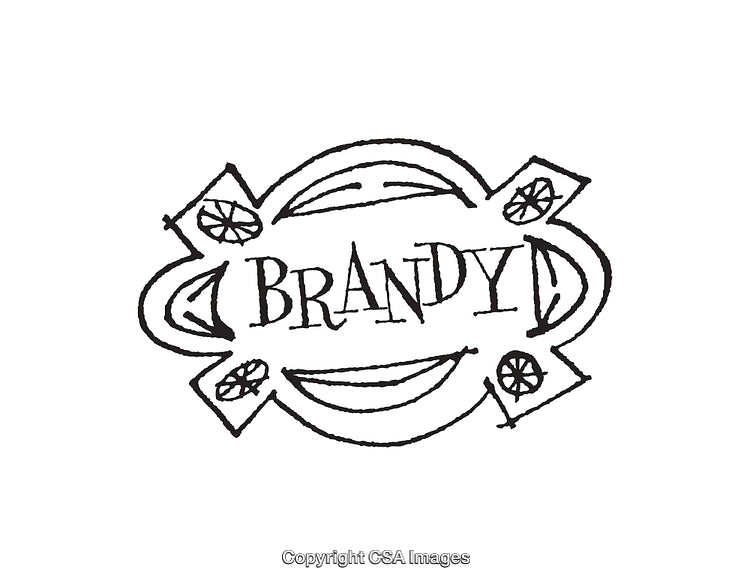 Stylized Line Art Logo Design Featuring the Word Brandy and Decorative Elements