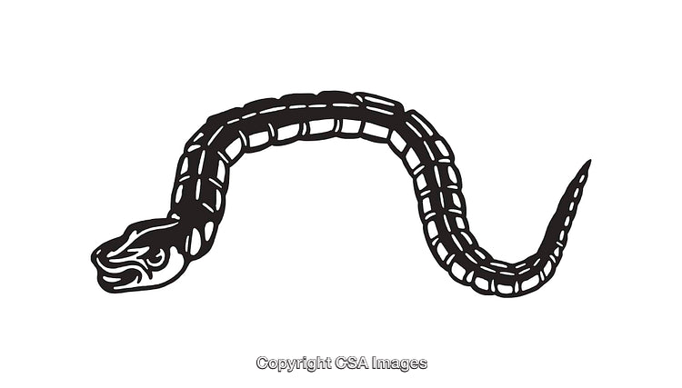 Black and White Line Art Illustration of a Coiled Snake