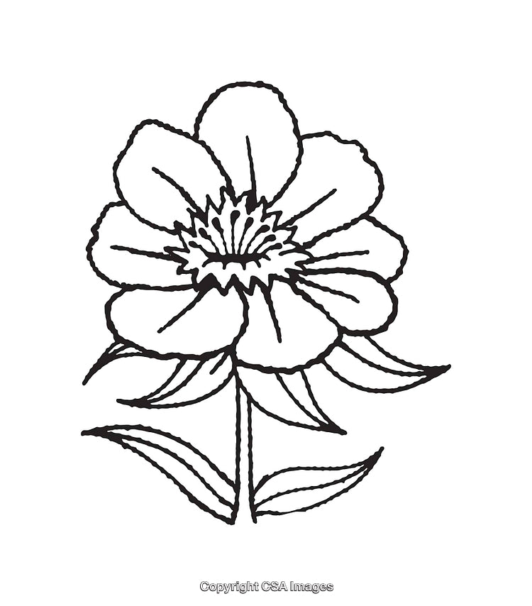 Black and White Line Art Flower with Leaves Drawing Illustration