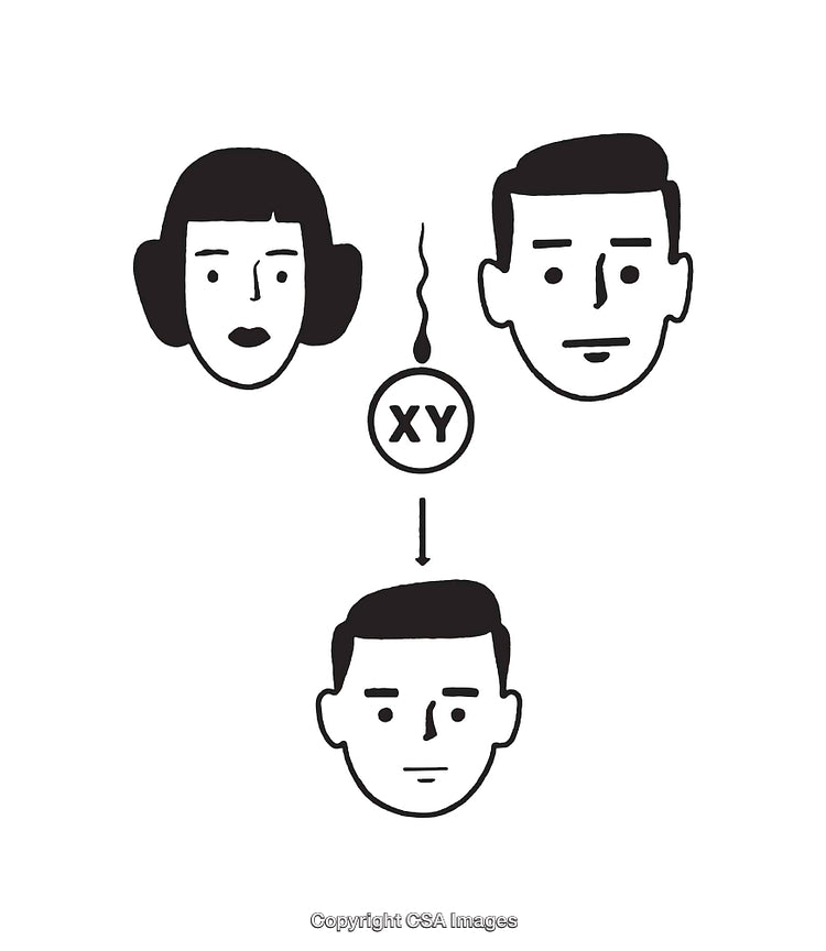 Illustration Depicting Family Genetics and Inheritance Concept