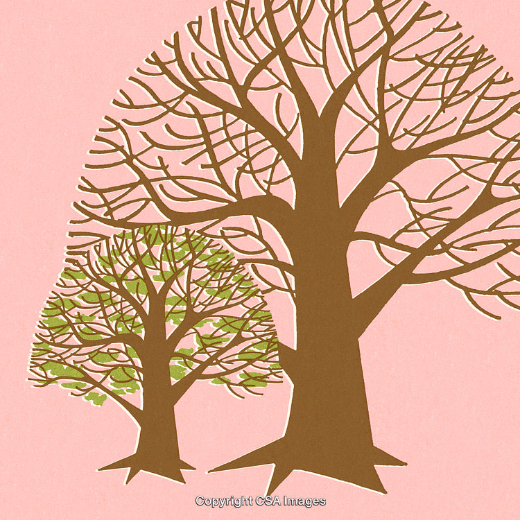 Artistic Illustration of Two Stylized Trees on a Pink Background