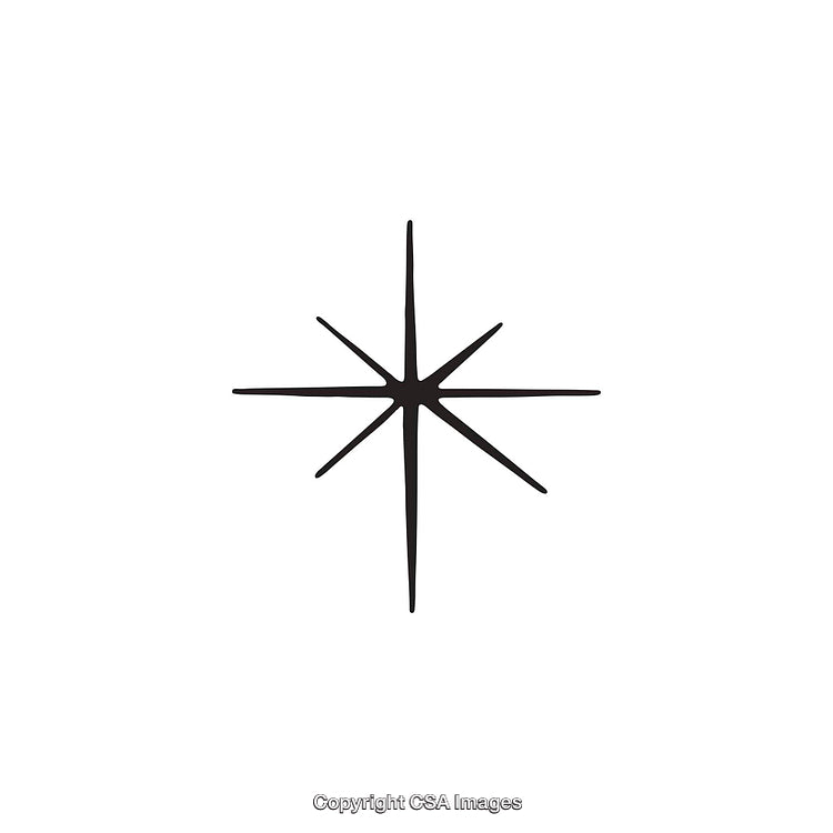 Minimalistic Black and White Eight-Pointed Star Shape Illustration