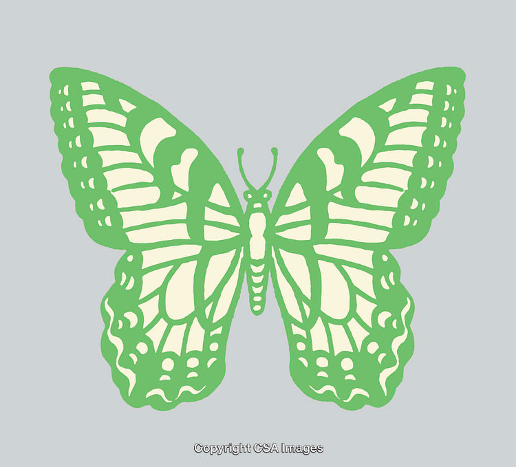Green Butterfly Line Art Illustration on a Gray Background