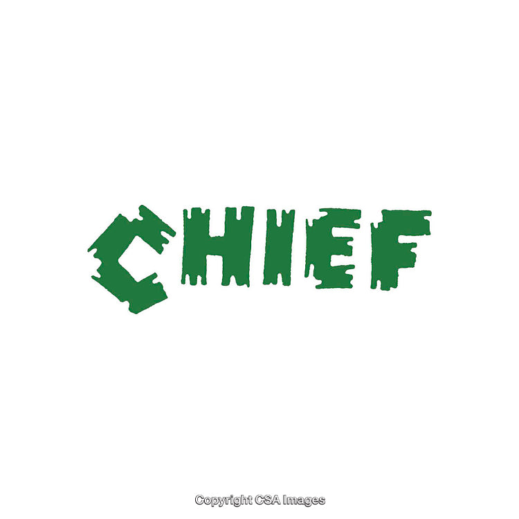 Green Text Design Displaying the Stylized Word 'Chief' in Bold Font