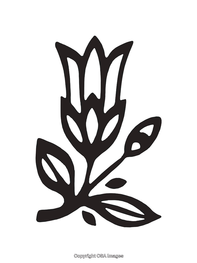 Elegant Black and White Floral Illustration with Detailed Line Art