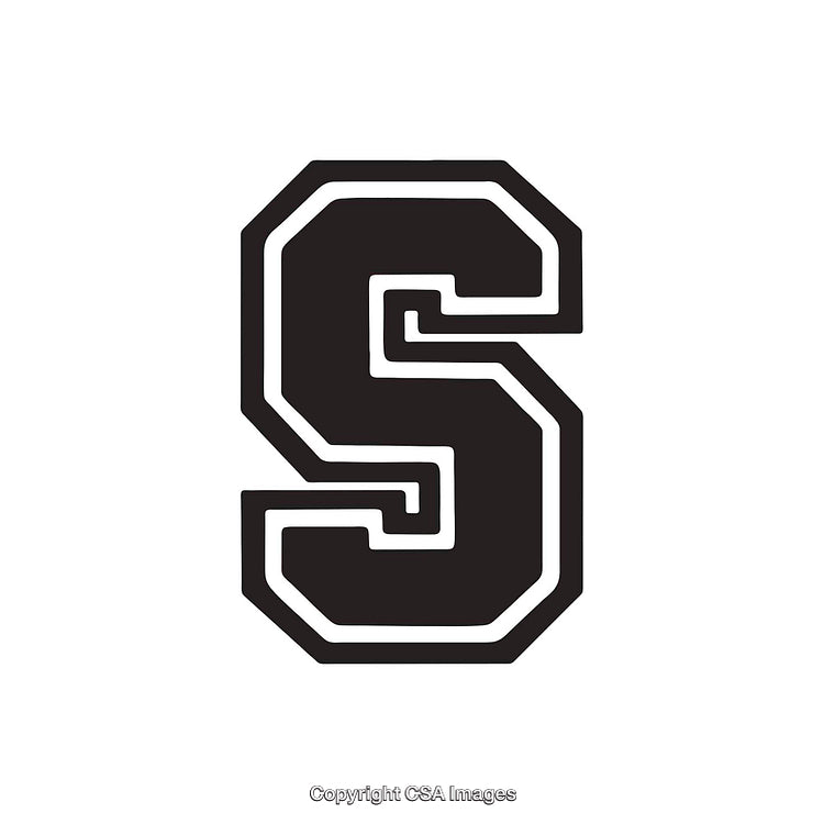 Bold Black Letter S with Geometric Design on White Background