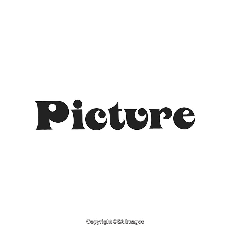 Stylized Typography Featuring the Word 'Picture' in Bold Black Font