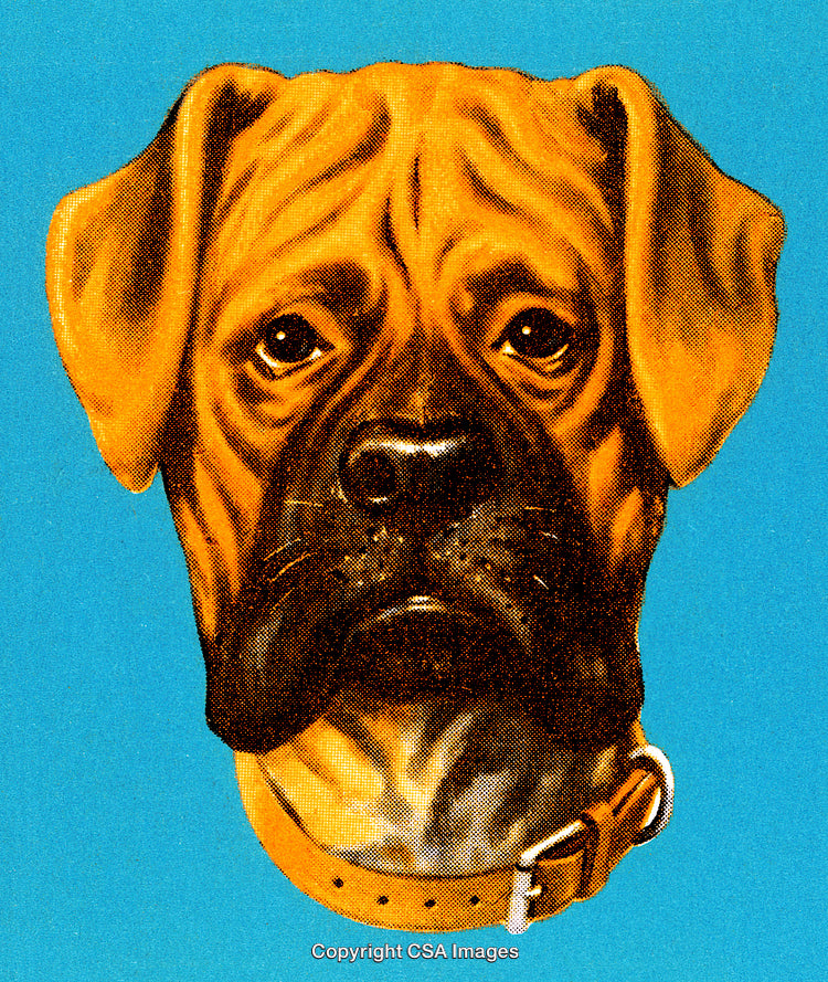 Retro Styled Illustration of a Brown Boxer Dog on Blue Background