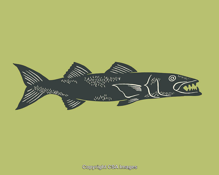 Detailed Line Art Illustration of a Fish with Sharp Teeth