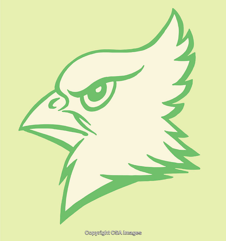 Stylized Green Hawk Head Line Art on Light Background