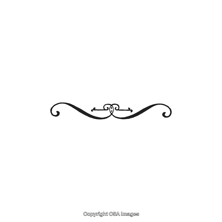 Elegant Black and White Swirl Decorative Design Ornament Illustration