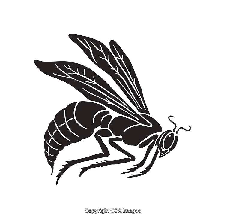 Black and White Line Art Illustration of a Flying Wasp Insect