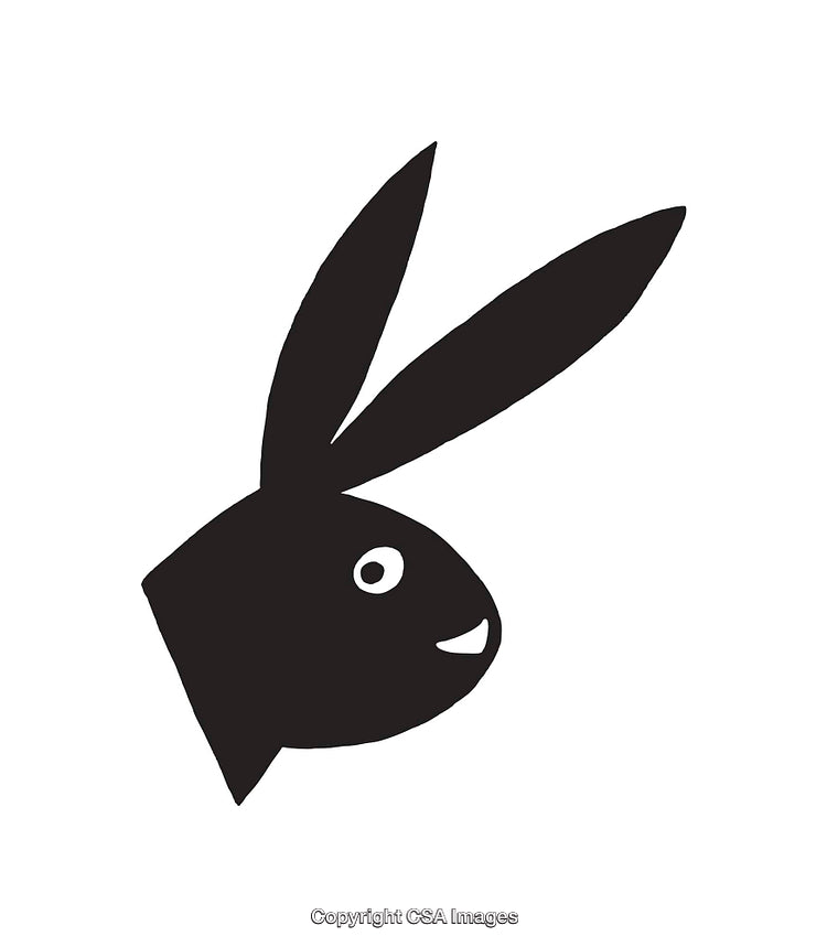 Stylized Illustration of a Bunny Head in Black and White Art