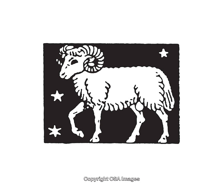 Black and White Line Art Illustration of a Ram with Stars