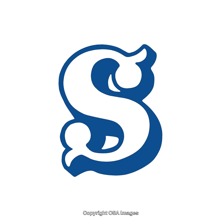 Bold Blue Artistic Letter S Symbol on White Background