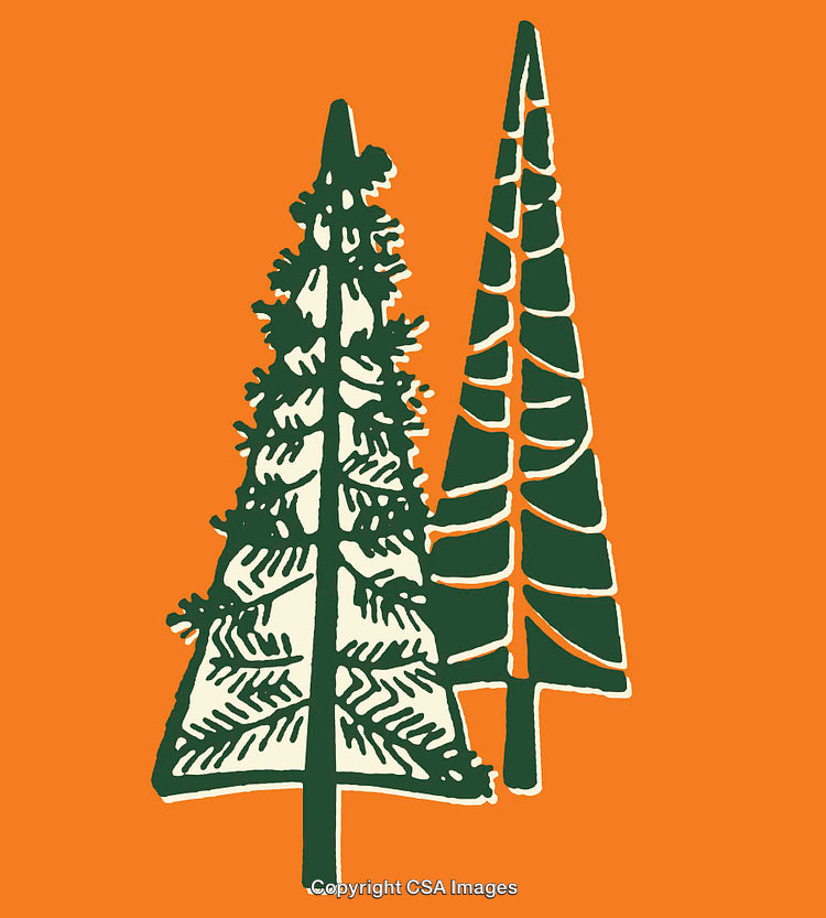 Stylized Drawing of Evergreen Trees on Vibrant Orange Background