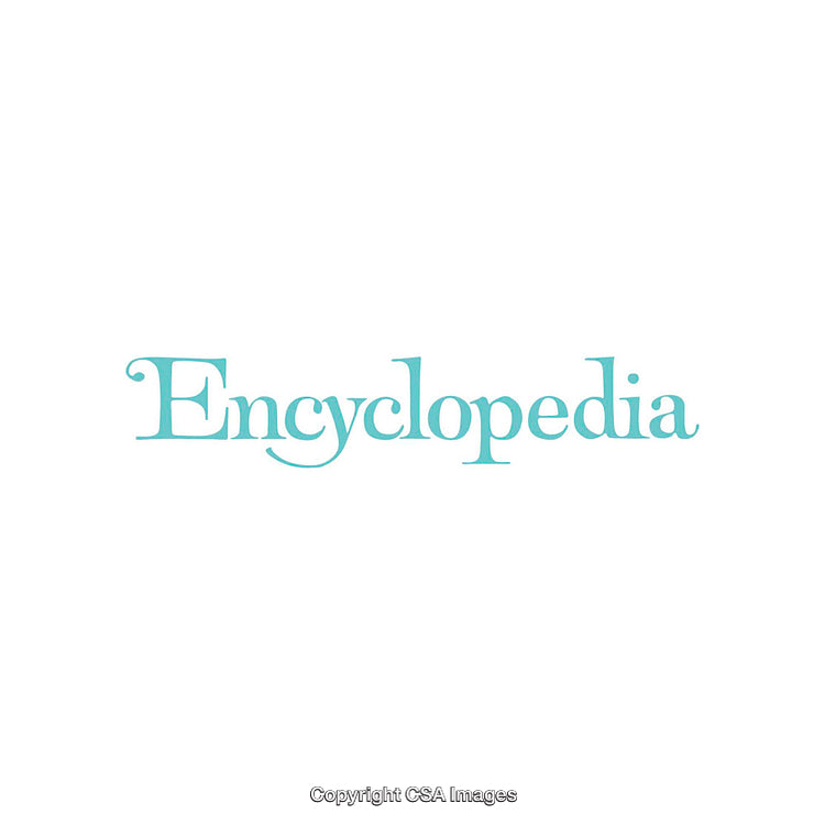 Elegant Typography with Single Word 'Encyclopedia' in Pastel Blue on White Background