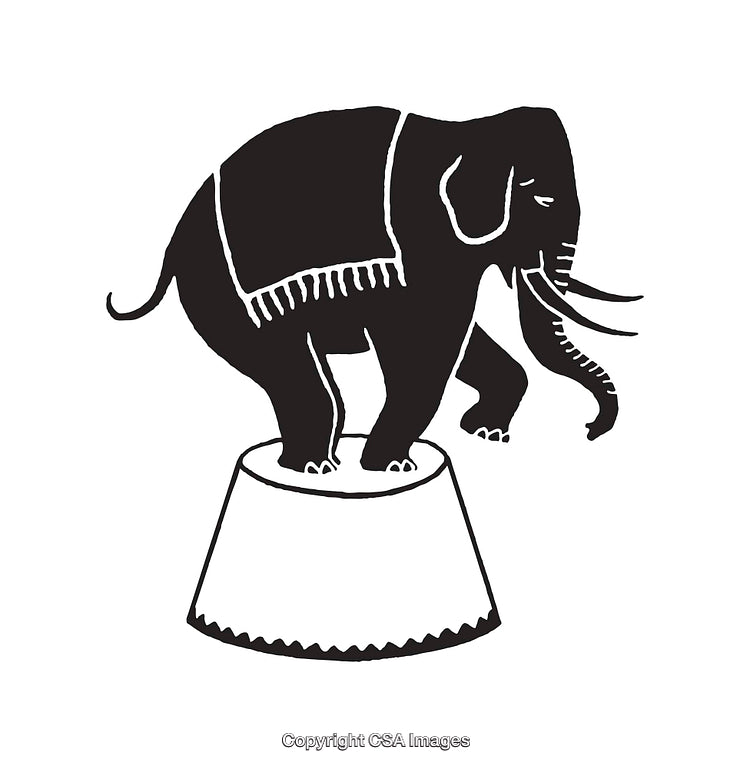 Black and White Elephant on Circus Stand Line Art Illustration
