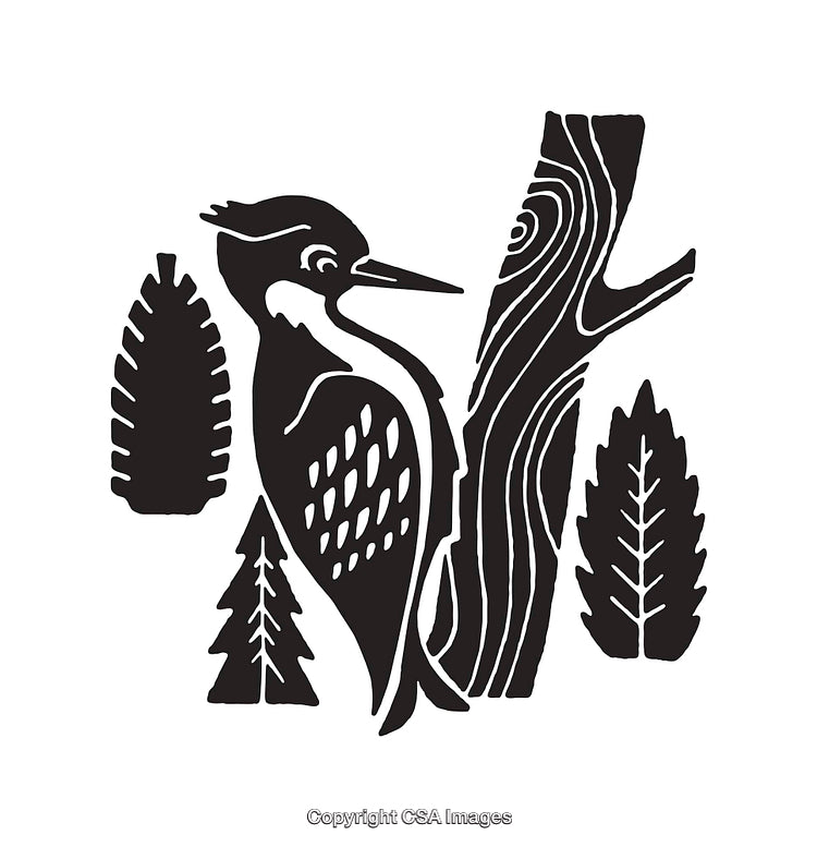 Black and White Woodpecker Line Art Illustration in Nature Scene