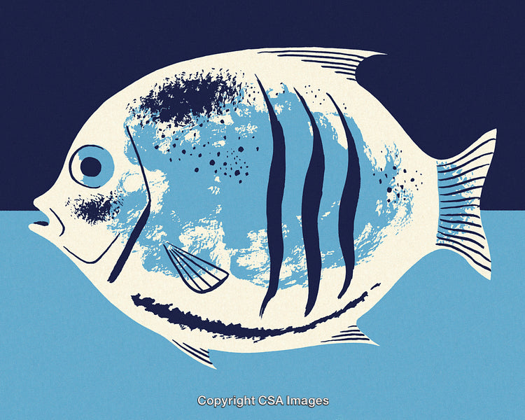 Abstract Illustration of a Fish With a Blue and White Artistic Design