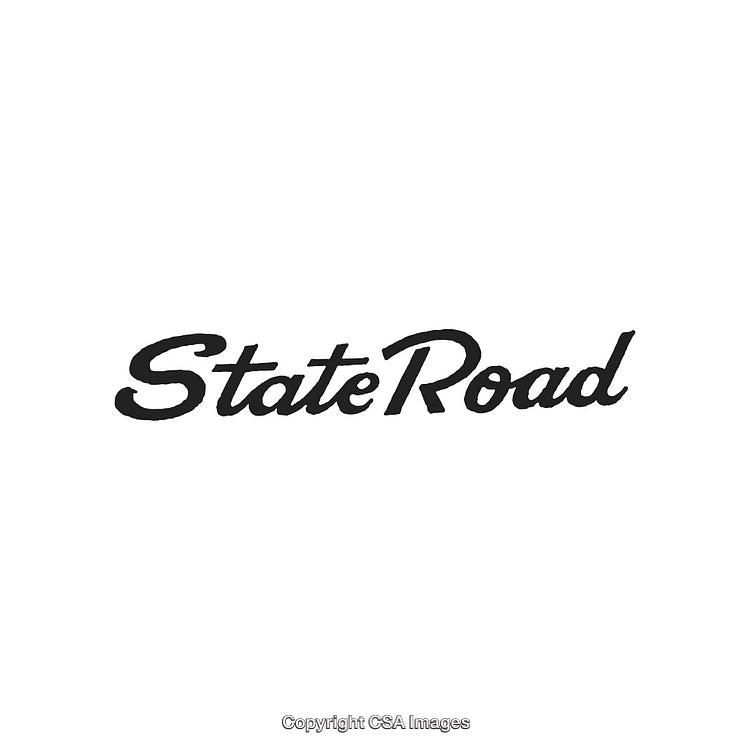 Stylized Logo Design Featuring the Words 'State Road' in Black Text