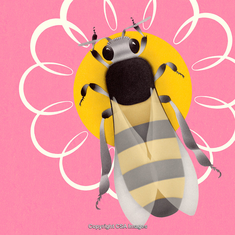 Stylized Illustration of a Bee with Abstract Background Art