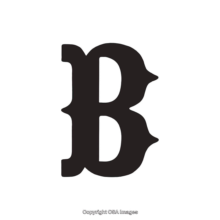 Stylized Black Letter B on a Plain White Background