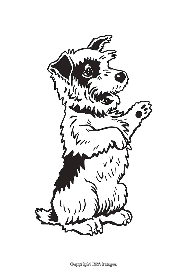 Cute Dog Illustration Standing in Playful Pose With Line Art Design