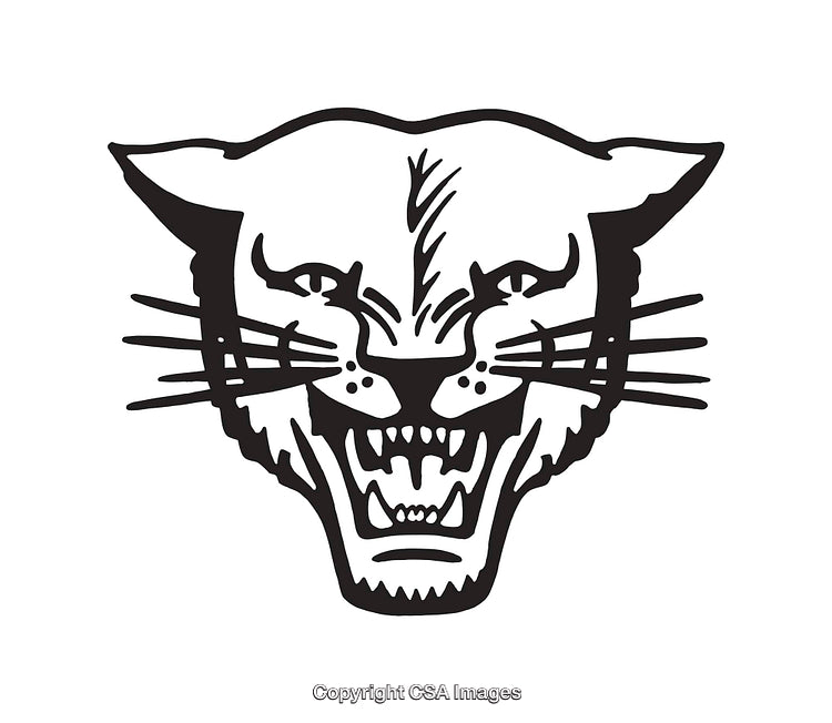Black and White Fierce Panther Line Art Illustration on White Background