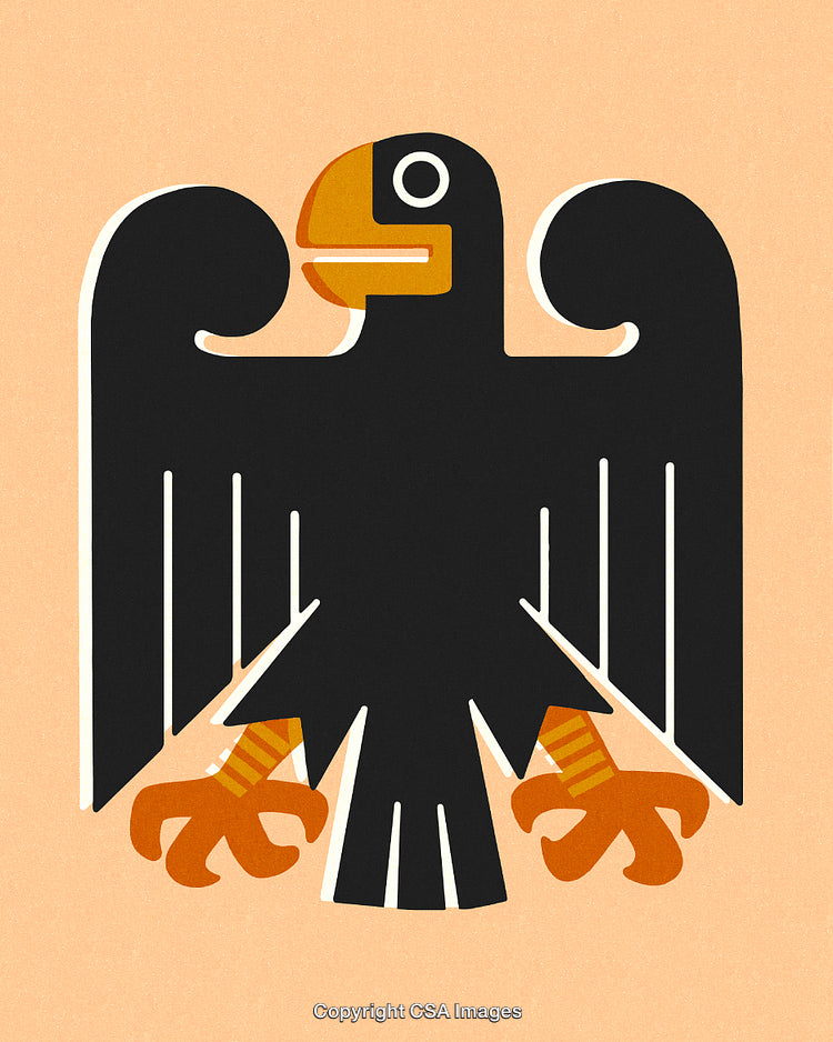 Stylized Illustration of a Bold Black and Orange Eagle with Abstract Features
