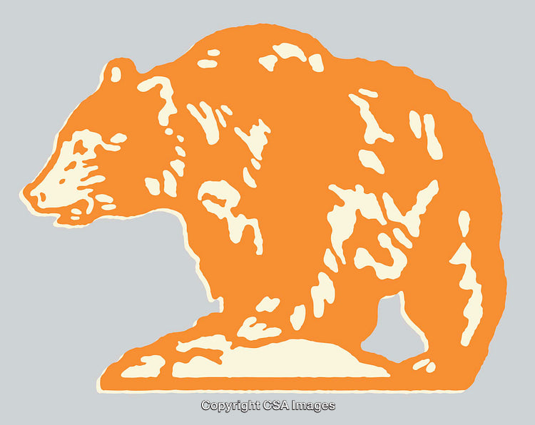 Orange and White Bear Silhouette on Light Grey Background