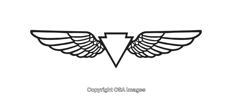 Black and White Line Art Illustration of Wings with Abstract Design