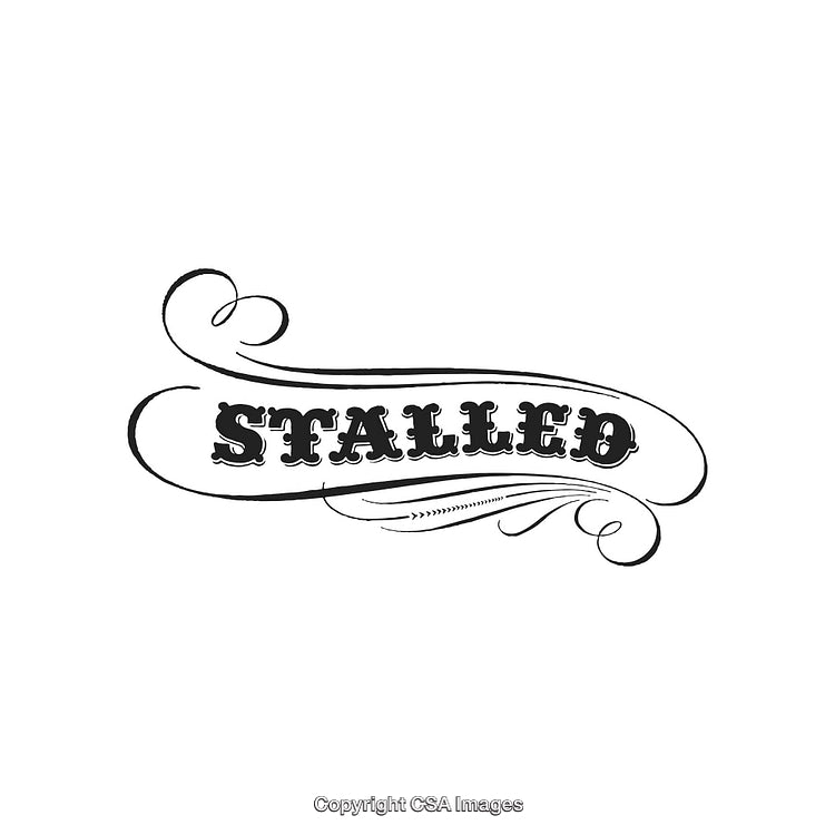 Ornate Decorative Typography with Stylish Swirls and Embellished Text Design