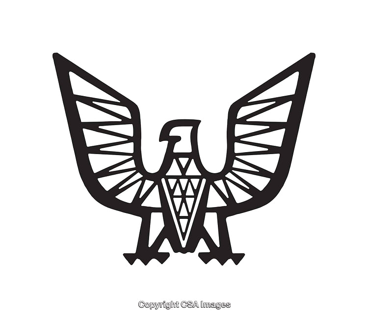 Geometric Eagle Icon in Black and White Line Art Style Illustration