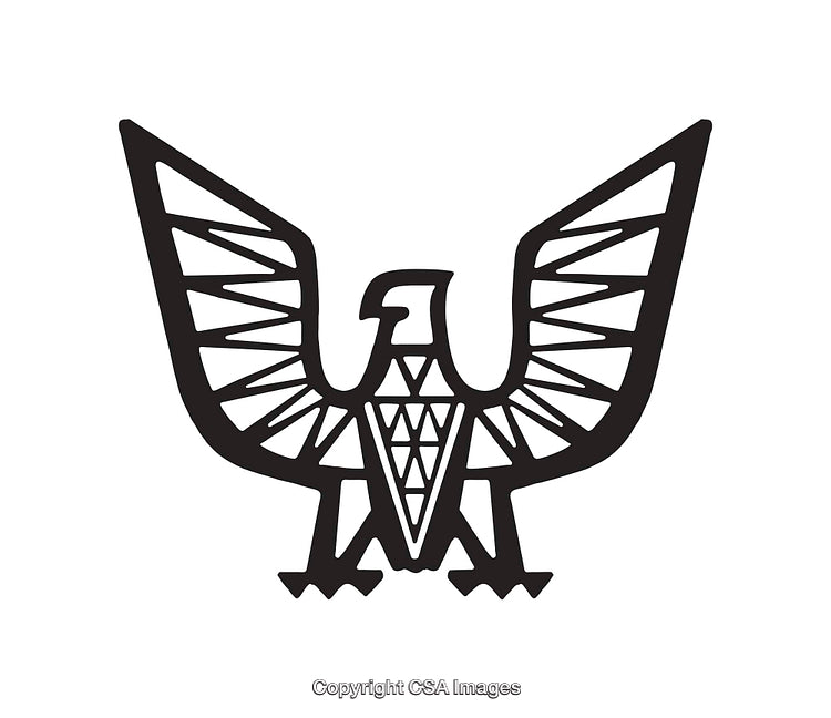 Geometric Eagle Icon in Black and White Line Art Style Illustration