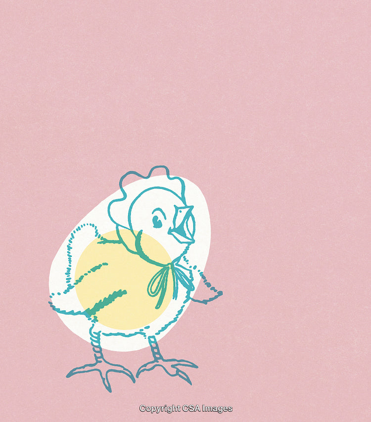 Colorful Illustration of a Chick on a Soft Pink Background