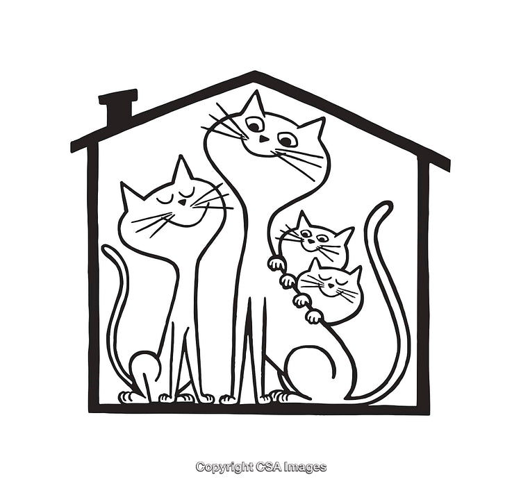 Line Art of Cats Inside Their Cozy House with Expressive Faces