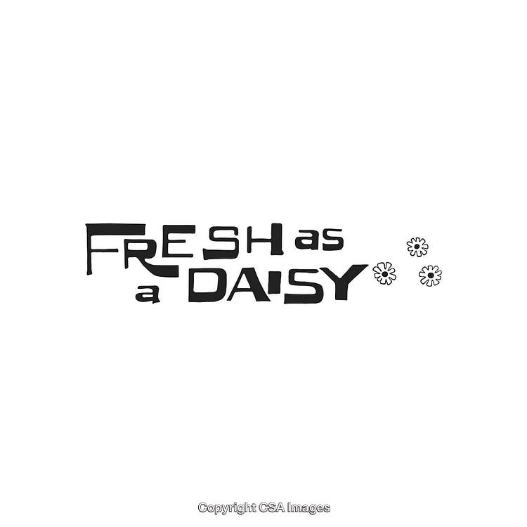 Stylized Fresh as a Daisy Text Art with Hand-Drawn Flower Illustrations