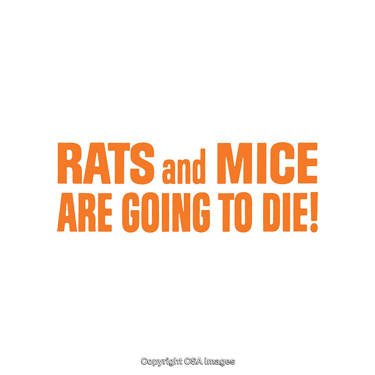 Bold Text Declaration Against Rodent Presence with Vibrant Orange Font