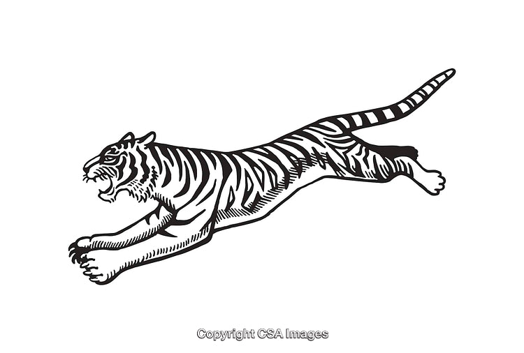 Detailed Black and White Illustration of a Jumping Tiger