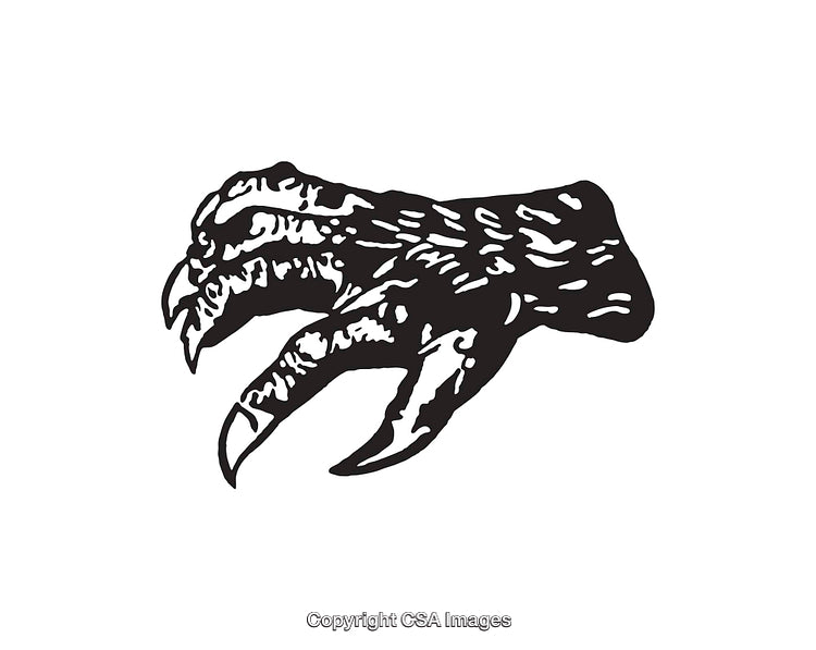 Detailed Black and White Illustration of a Bird Claw in Artistic Style