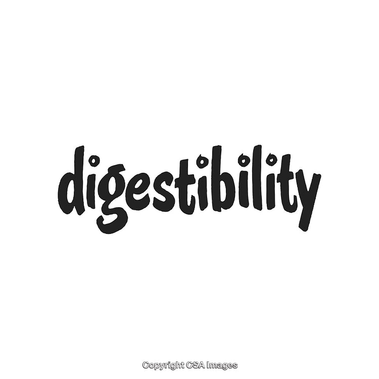 Digestibility Typography Design with Creative Lettering on White Background