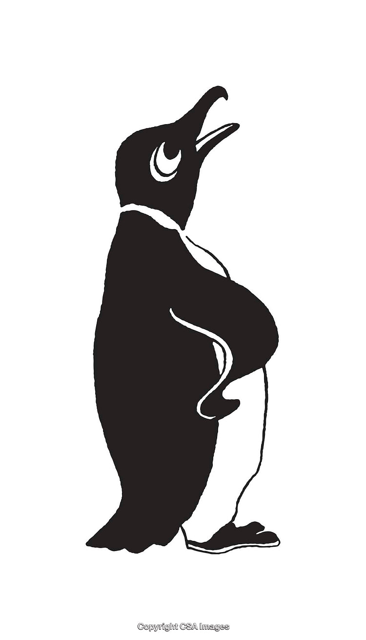 Illustration of a Penguin in Black and White Line Art Style